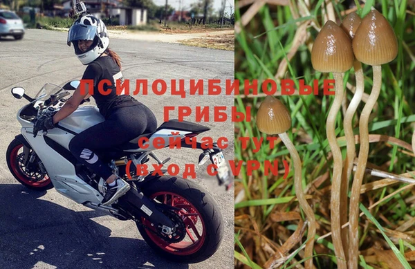 амф Майский