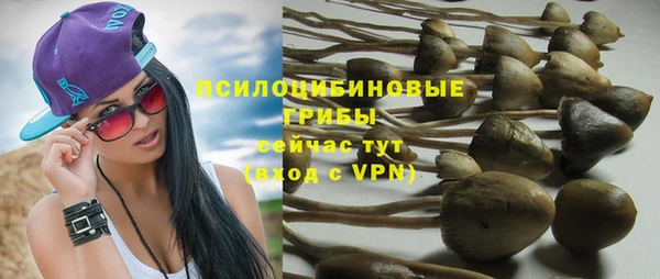 амф Майский